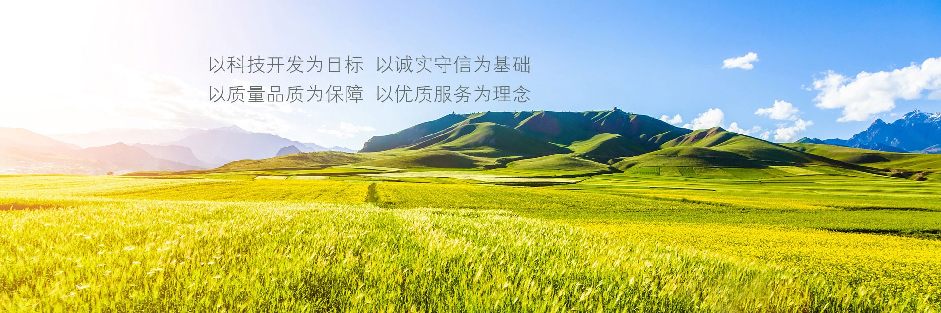 爱游戏最新官方网站公告